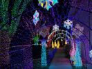 christmas lights  
