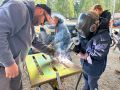 welding  