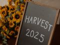 harvest new hope  